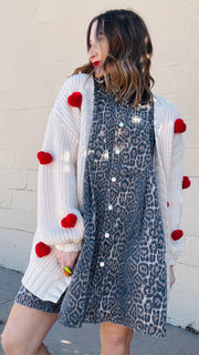 Chloe Leopard Print Denim Dress